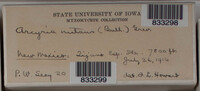 Image Associated With the Occurence